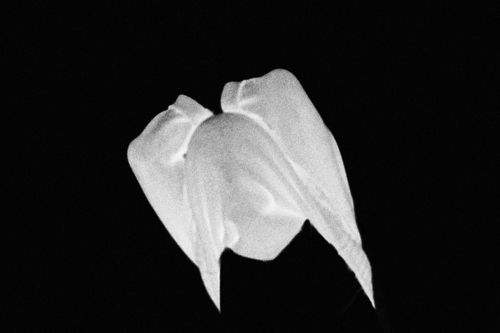 Our new song thirtythreeandonethirdchance is out now on all streaming platforms 
Linktree.com/kurmatx