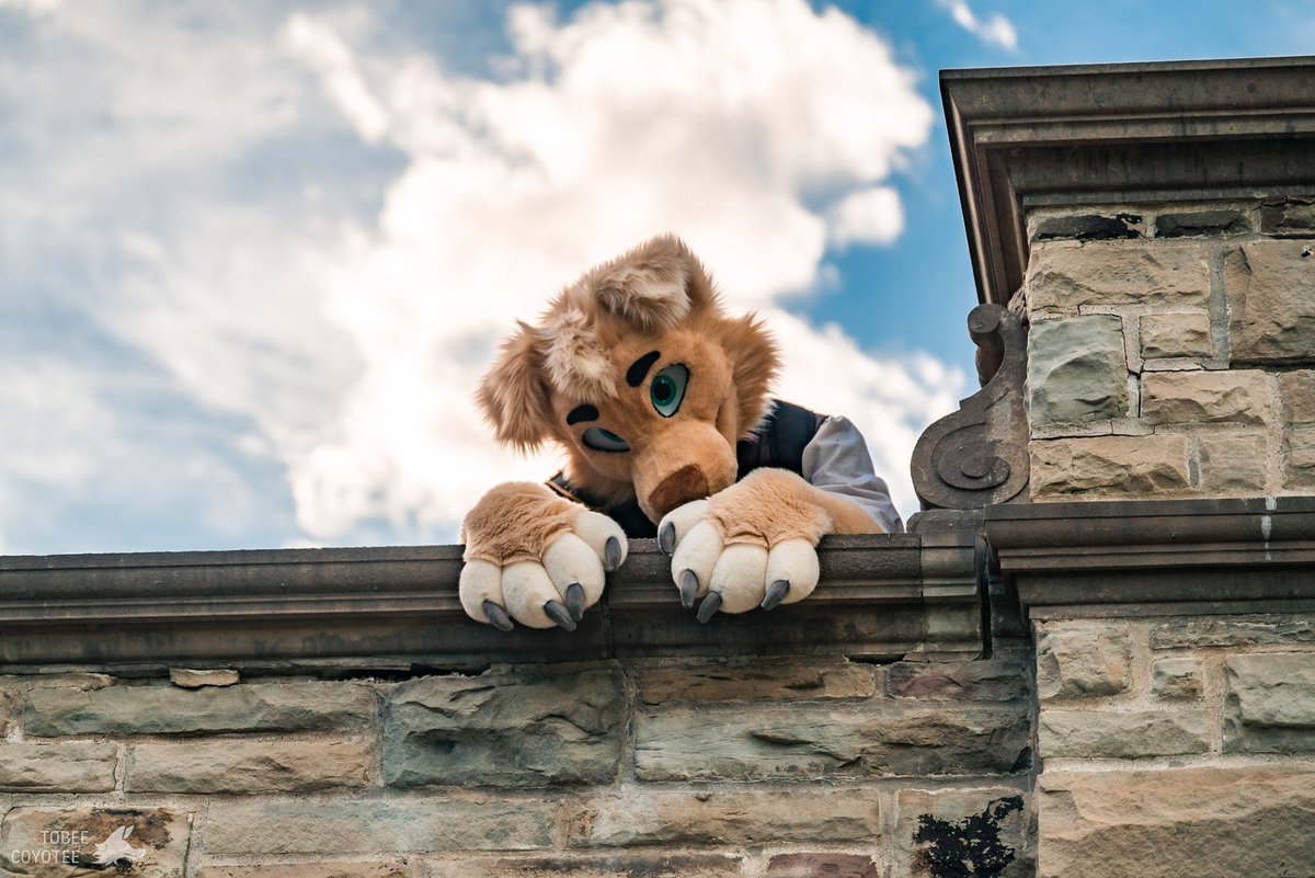 Bebo (@aioniir) on Twitter photo Hey!
Hey you!
Up here!
Can I have a treat? Please?
π₯Ί
πΈ<a href="/tobeecoyotee/">Tobee Coyotee</a>
#FursuitFriday #fursuit Hey!
Hey you!
Up here!
Can I have a treat? Please?
π₯Ί
πΈ<a href="/tobeecoyotee/">Tobee Coyotee</a>
#FursuitFriday #fursuit