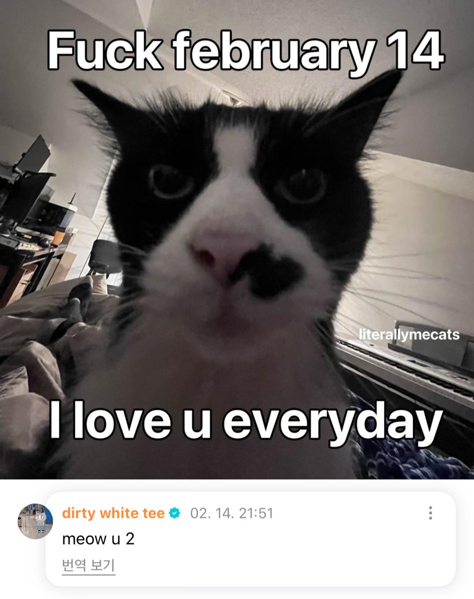 vernonsource's tweet image. 250214 vernon weverse 🌟 #버논 

💎 i meow u vernon #happy_carat_day
🐻‍❄️ meow u 2