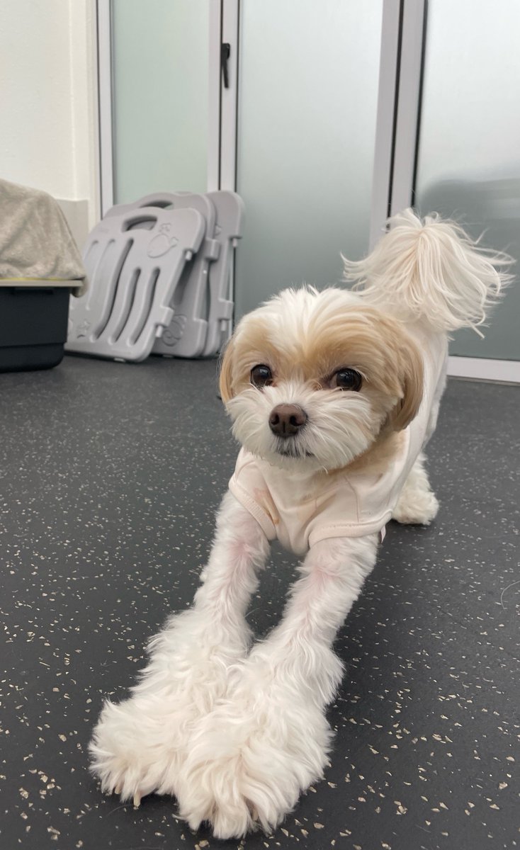 Grace🍯 tweet media