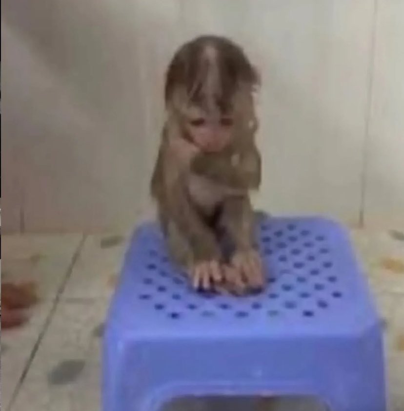 stuudynath's tweet image. eu simplesmente não to conseguindo fazer questões de conjuntos, alguém me ☠️