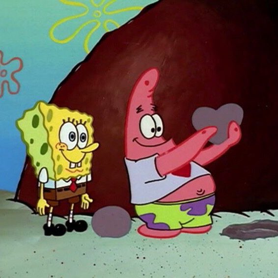 ౨ৎ 🧽 tweet media