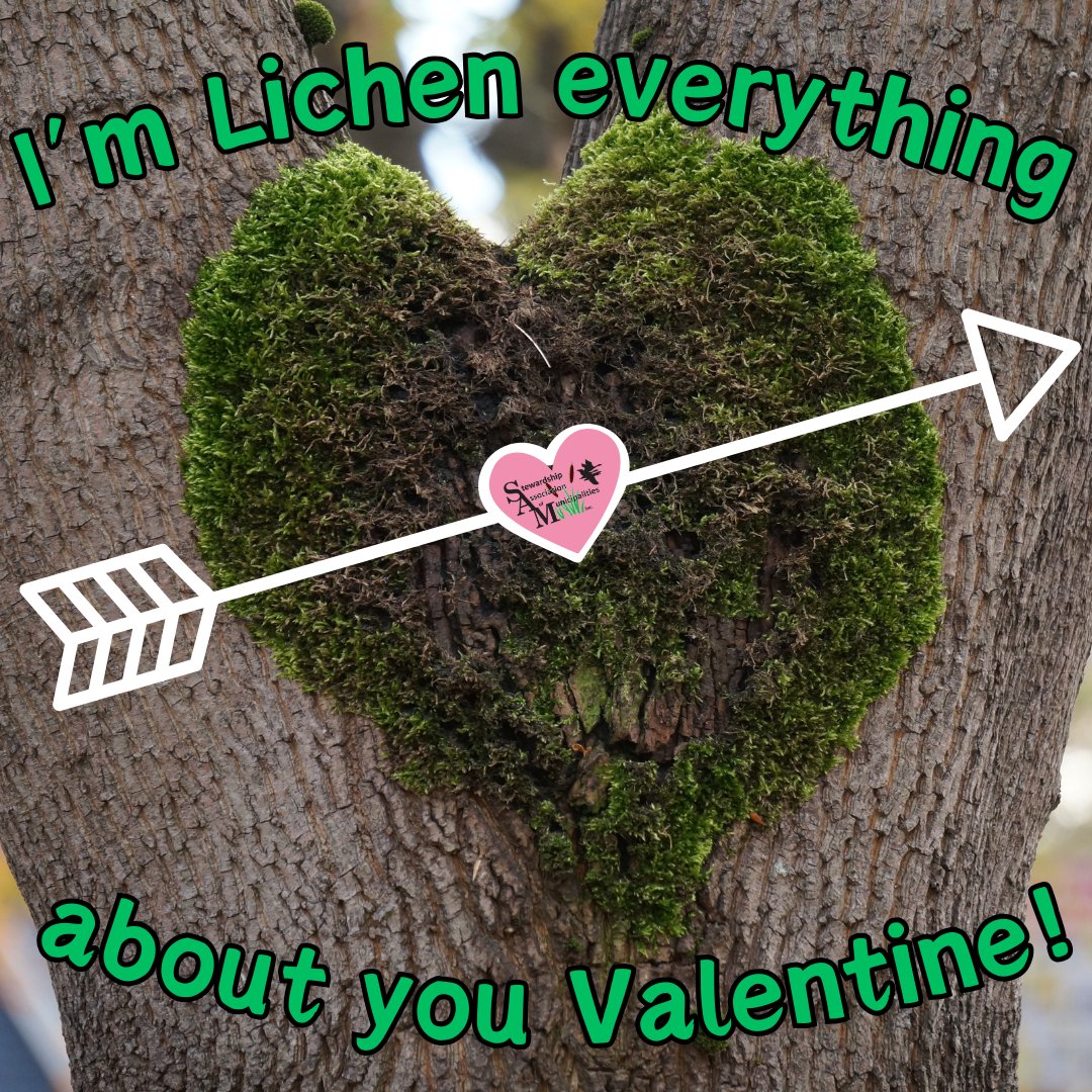 Happy Valentine's Day from SAM! Each and every one of you are certainly tree-mendous! Thank you for loving wildlife habitat as much as we do!

#valentinesday #pun #lichen #forest #habitat