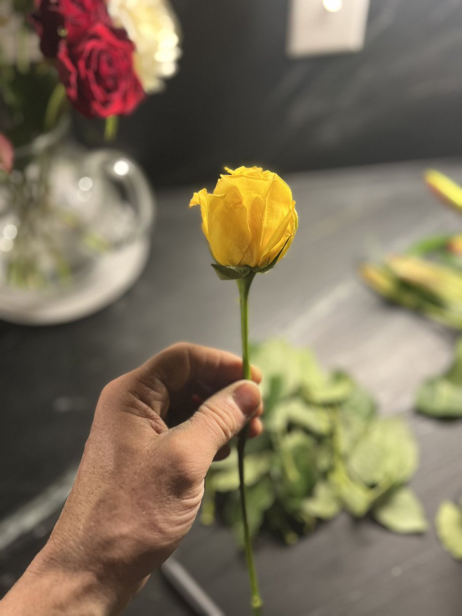 Reminded me of the cover of my single “Ordinary” open.spotify.com/track/5SxejuFk… #music #ValentinesDay