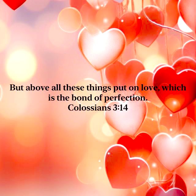 Colossians 3:14 
And above all these things put on charity, which is the bond of perfectness.