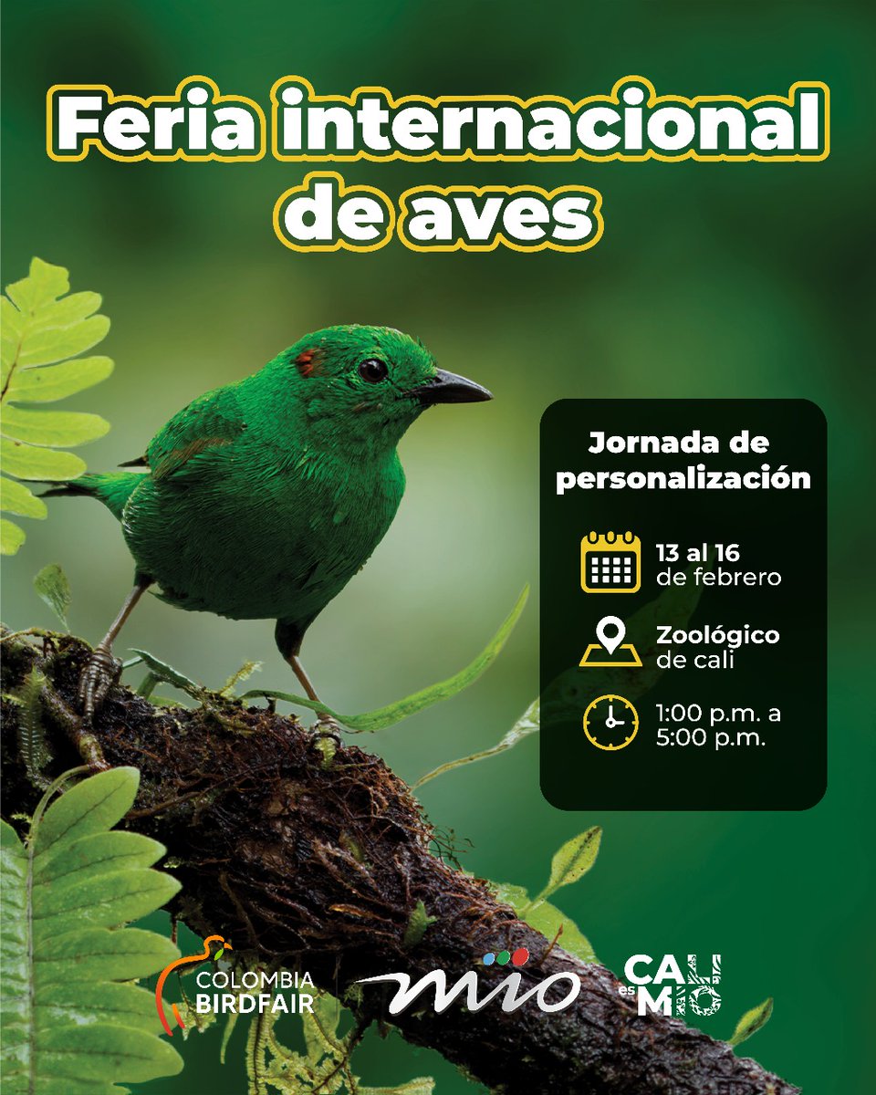 🦜✨ Pajarea tranquilo, que el MIO te lleva.

Nuestra ruta A02🚌 te deja en el <a href="/zoologicodecali/">Zoológico de Cali</a> para vivir la #ColombiaBirdFair2025. Además, personaliza tu tarjeta MIO💳 con nuestro equipo de asesores🗣.