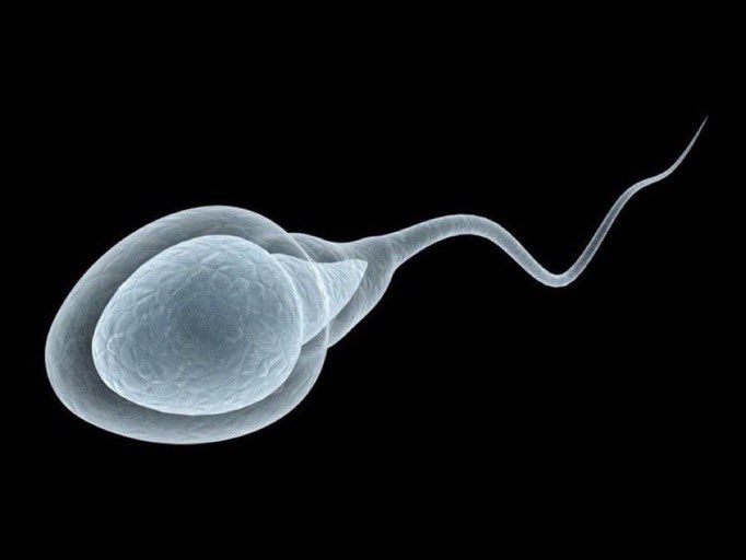 crazy how a tiny sperm can turn into a unprofitable crypto trader