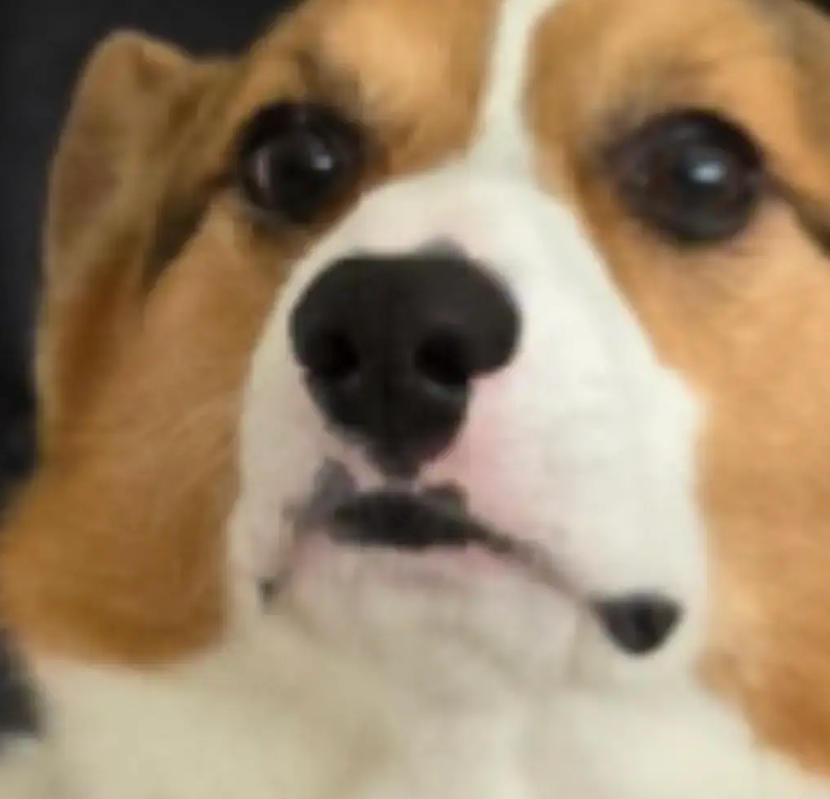 Keen Pixels 🍞 tweet media