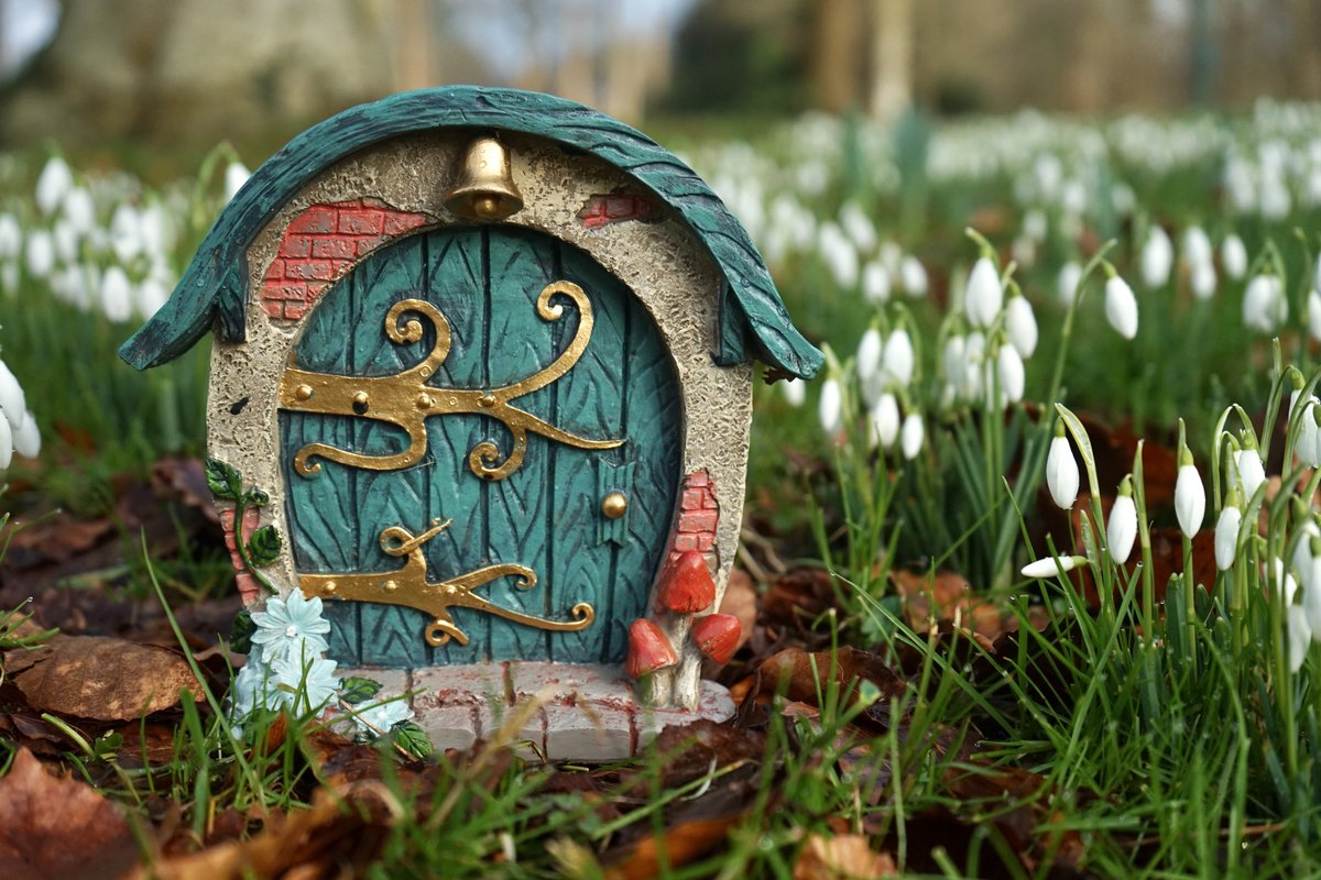 Hestercombe Gardens tweet media