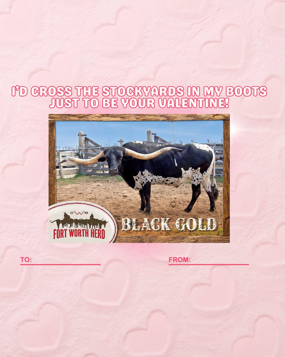 Forget Cupid, these longhorns are here to steal your heart! 🐮💘Whether you're looking for love or just a ride this Valentine's Day, these Fort Worth Herd V-Day cards have got you covered. Tag your Valentine who’s got a heart as big as these horns! #FortWorthHerd #ValentinesDay