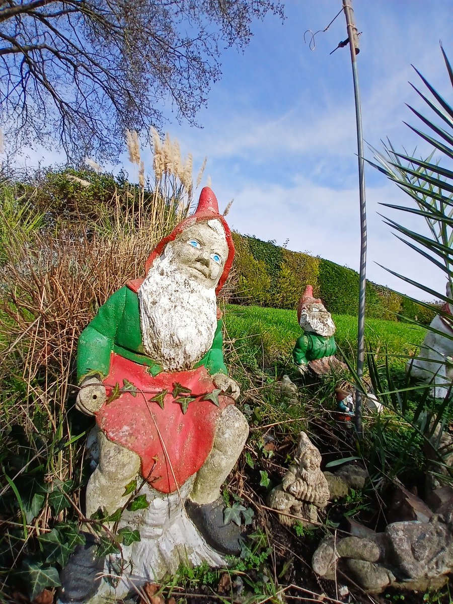 Dev0nRider's tweet image. Why have a gnome in your garden?

Folklore says they ward off negativity &amp;amp; protect hidden treasures. A little magic, a little mystery—let nature’s guardians watch over you.

#GardenMagic #EsotericWisdom #OccultVibes"