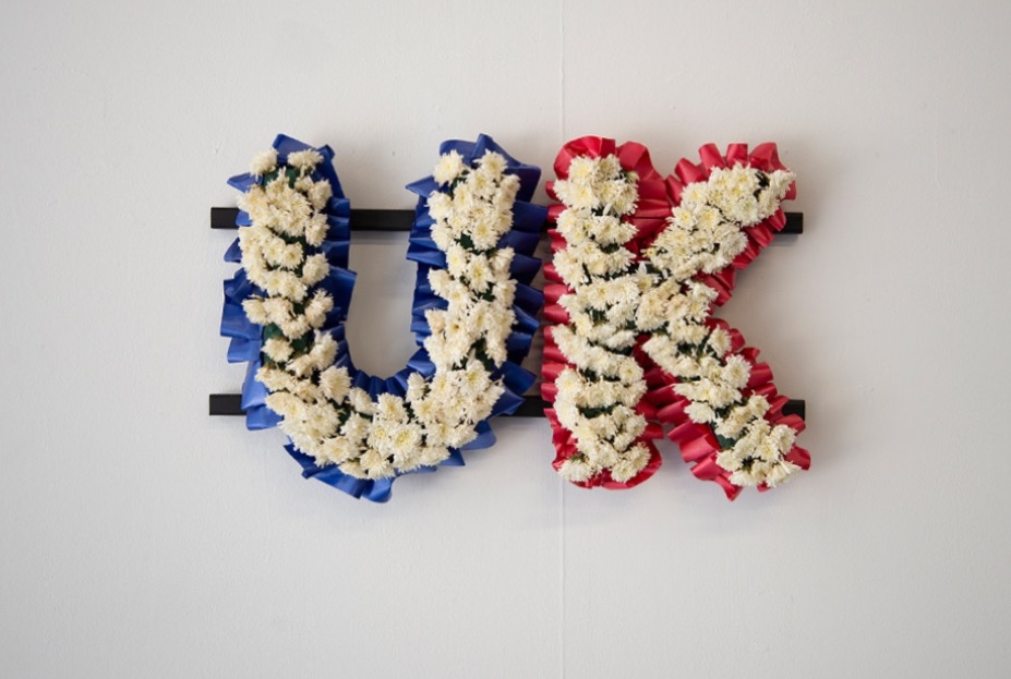 GALLERY46 tweet media