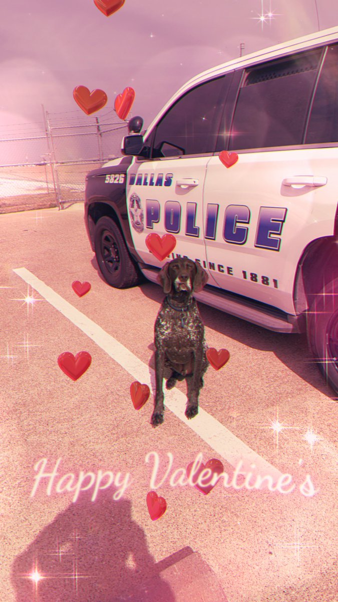 Love from <a href="/DallasLoveField/">Dallas Love Field Airport</a> <a href="/DallasPD/">Dallas Police Dept</a> ❤️