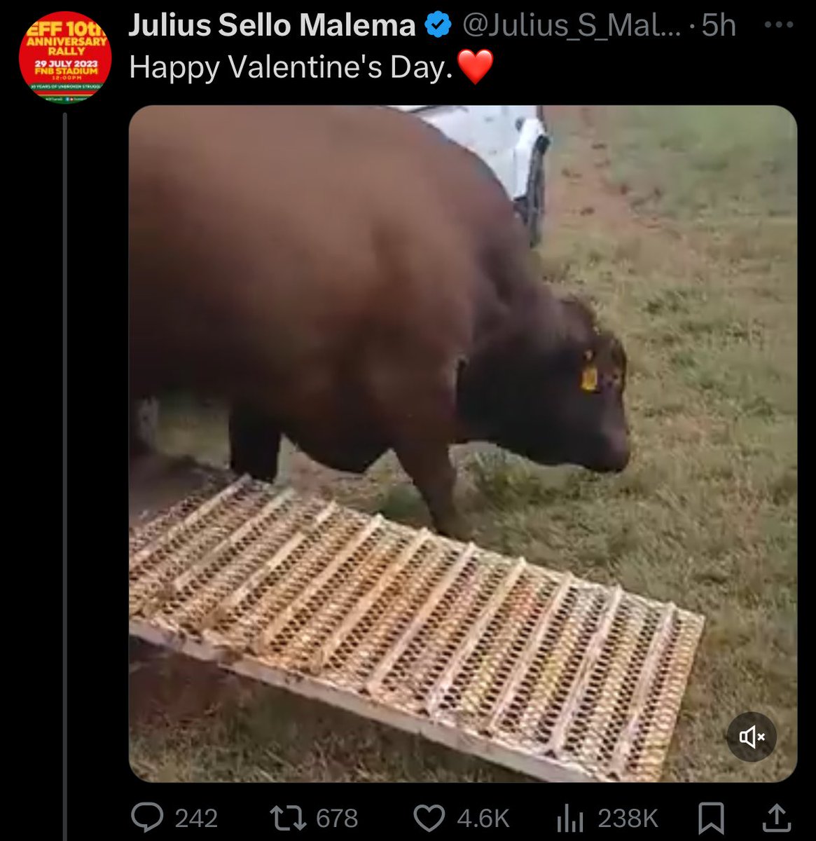 Miss Ziprusha tweet media