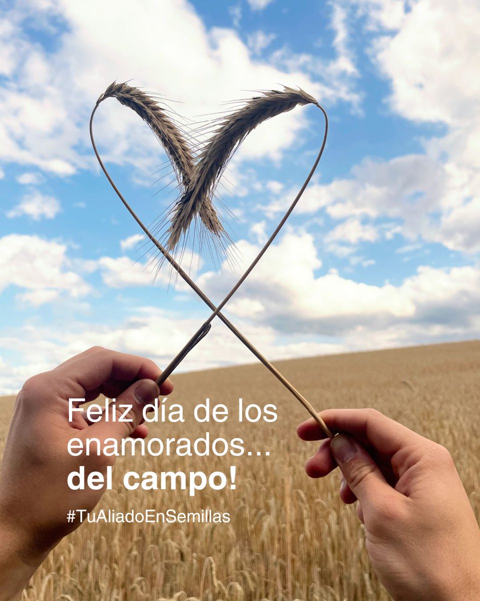 Feliz día de los enamorados... del #campo! 🌱🧡🚜
#KWSEspaña
