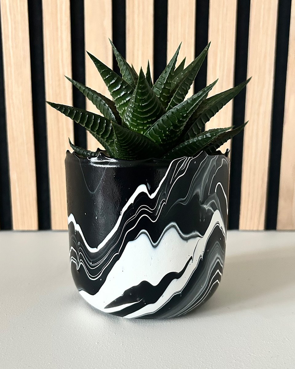 New Adventure: Home of the Fusion

A luxury homeware collection from Studio Craig Black where art meets everyday living.

Be the first to explore the collection and get exclusive early access.

Join the waiting list now:

form.typeform.com/to/OxFc40Lp