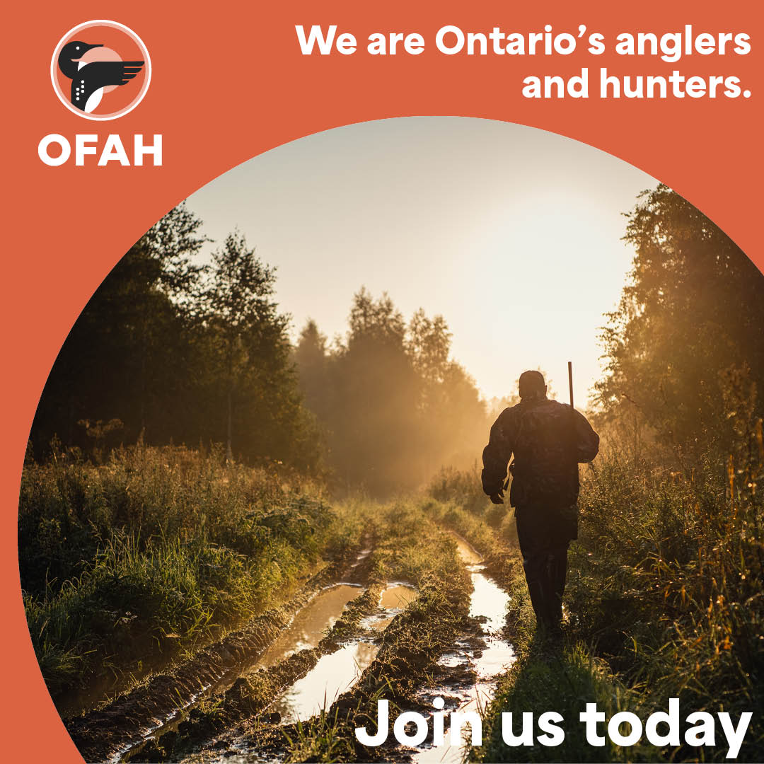 We work hard to protect Ontario’s outdoors for generations. Add your voice to a community that fights for the future today. Join now. Learn more at ofah.org.

#hunt #fish #conserve #conservation #outdoors #nature #wildlife #ontario #hunting #fishing