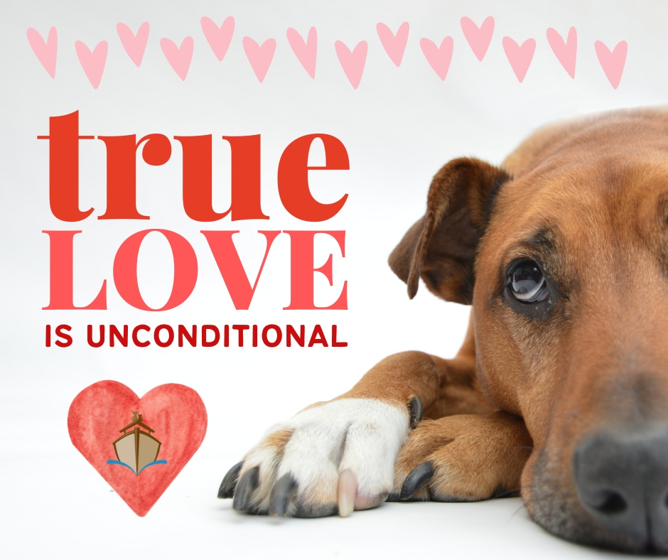 Happy Valentine's Day! 💘💌