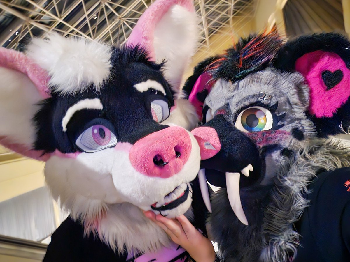 Loki ๐ TFF (@lokihowler) on Twitter photo Happy #ValentinesDayโฏโฏโฏ to the best boy in the world <a href="/WuskTehFelix/">FelixTehWusky ๐ TFF & FWA</a>. Meeting you was truly the best thing that's ever happened to me. You mean everything to me.โค๏ธโค๏ธ Happy #ValentinesDayโฏโฏโฏ to the best boy in the world <a href="/WuskTehFelix/">FelixTehWusky ๐ TFF & FWA</a>. Meeting you was truly the best thing that's ever happened to me. You mean everything to me.โค๏ธโค๏ธ