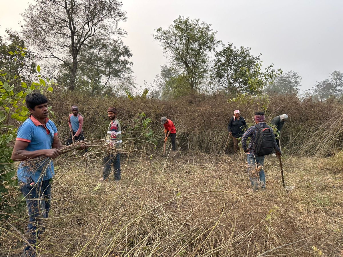 Restoring Rhino Habitat!

Over 50 forest users from Namuna CF, are actively working to restore 50 hec of degraded land with the objective to manage invasive species, promote native species adopting community-based habitat management! approaches@ IUCN SOS - Fondation Serge, CNP.