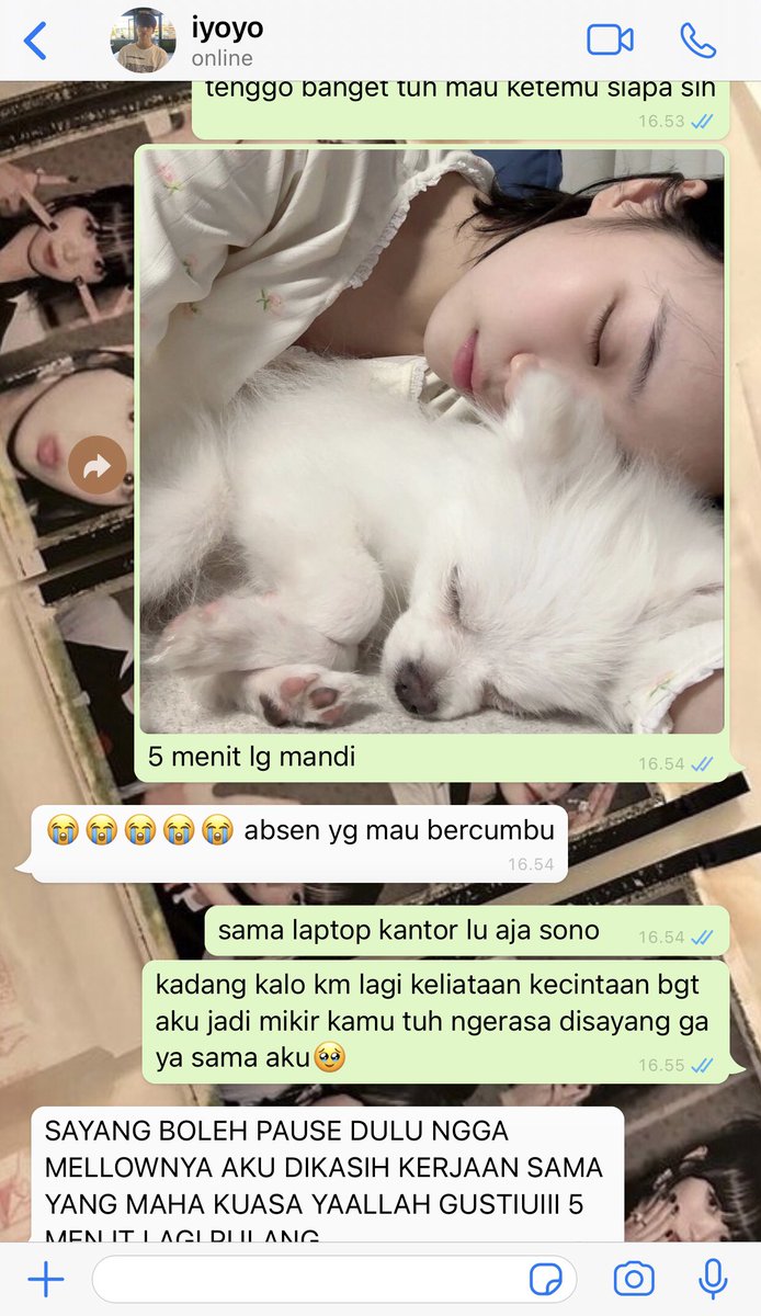 gyuswrite's tweet image. #stevanna onetweet au