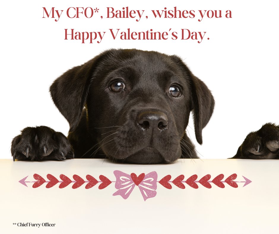 💝 Bailey’s Valentine’s Day Poem 💝

Roses are red,  
Violets are blue,  
I may be furry,  
But my love is true!  

Treats make me happy,  
Belly rubs too,  
But nothing is better  
Than cuddling with you! 💕🐾