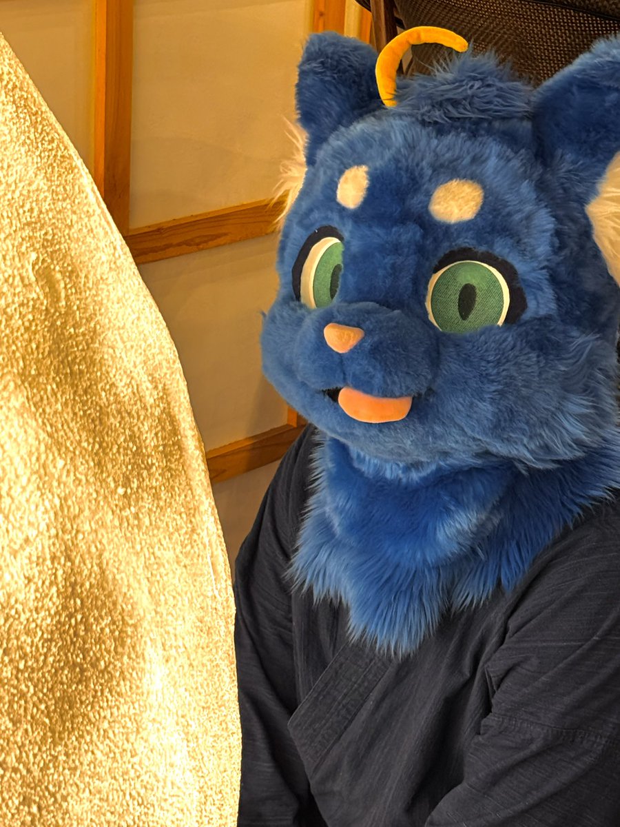 Wow~ that’s a bling bling !

#FursuitFriday #fursuit #Umineko #Ardu #furro