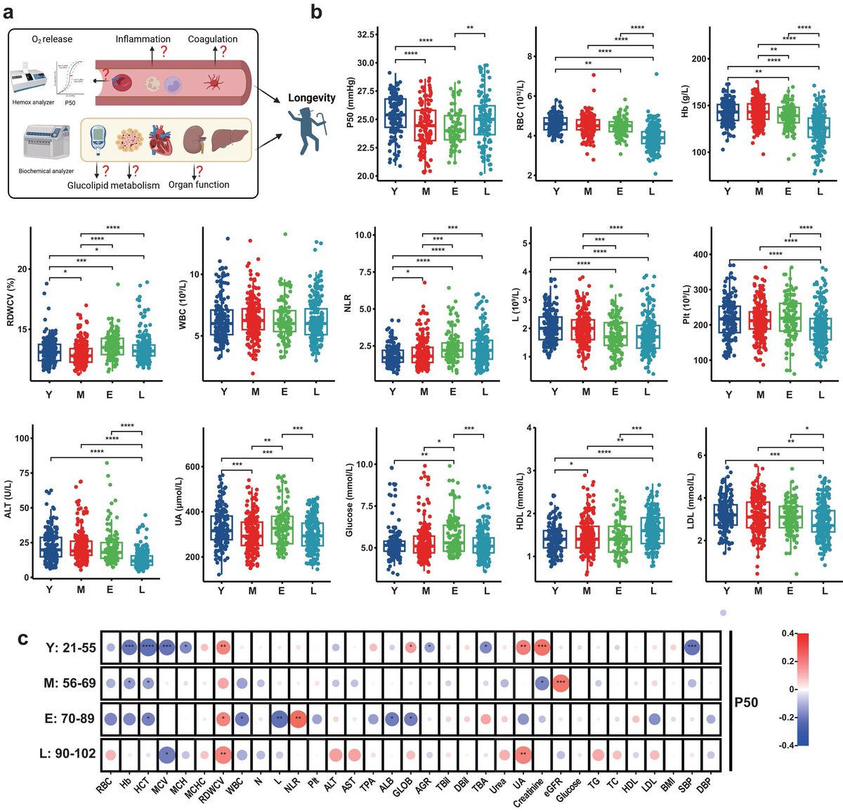 Longevity Humans Have Youthful Erythrocyte Function and Metabolic Signatures

onlinelibrary.wiley.com/doi/10.1111/ac…