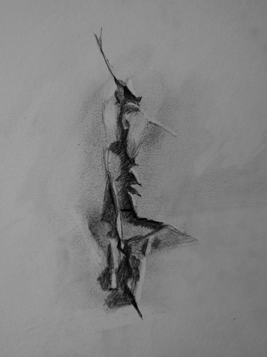 Some close up shots of my latest pencil drawing "Inedible"

Inspired by a famous banana art piece taped to a wall, I drew 2 slits of paper to resemble a frowny face.