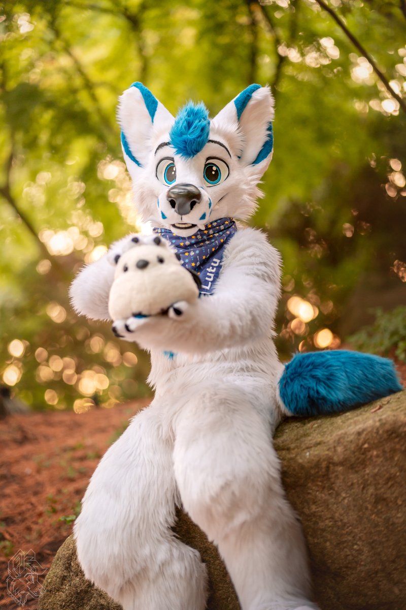 Happy Friend's Day! That's how we celebrate it here in 🇫🇮 
Remember to hold you friend gently like a burger (see example in photo) 
📷:<a href="/vlaaacek/">VlaceK</a> #FursuitFriday