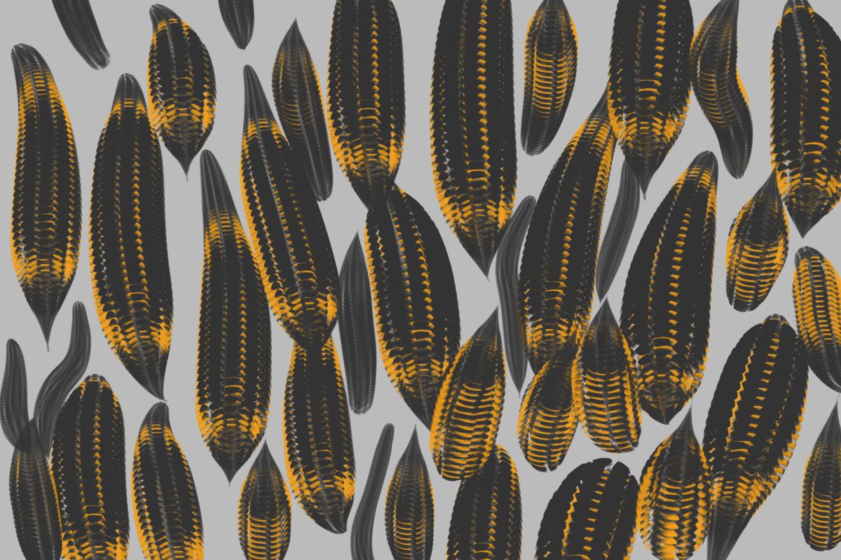 rainped's tweet photo. corn kernels? https://t.co/4RHfuESxgm
