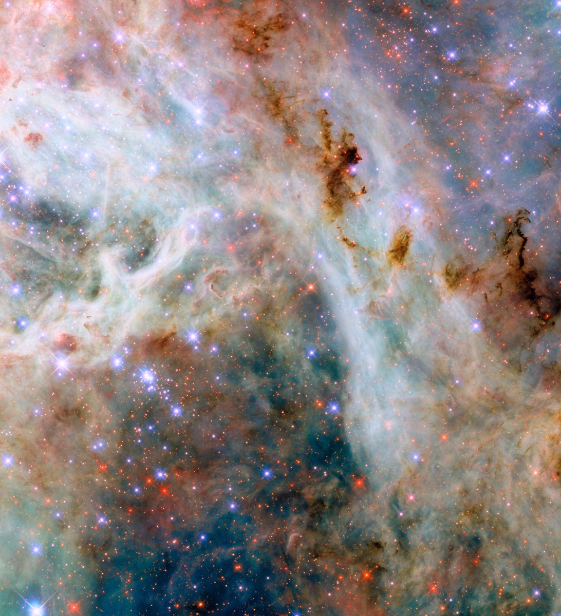 Hubble tweet media