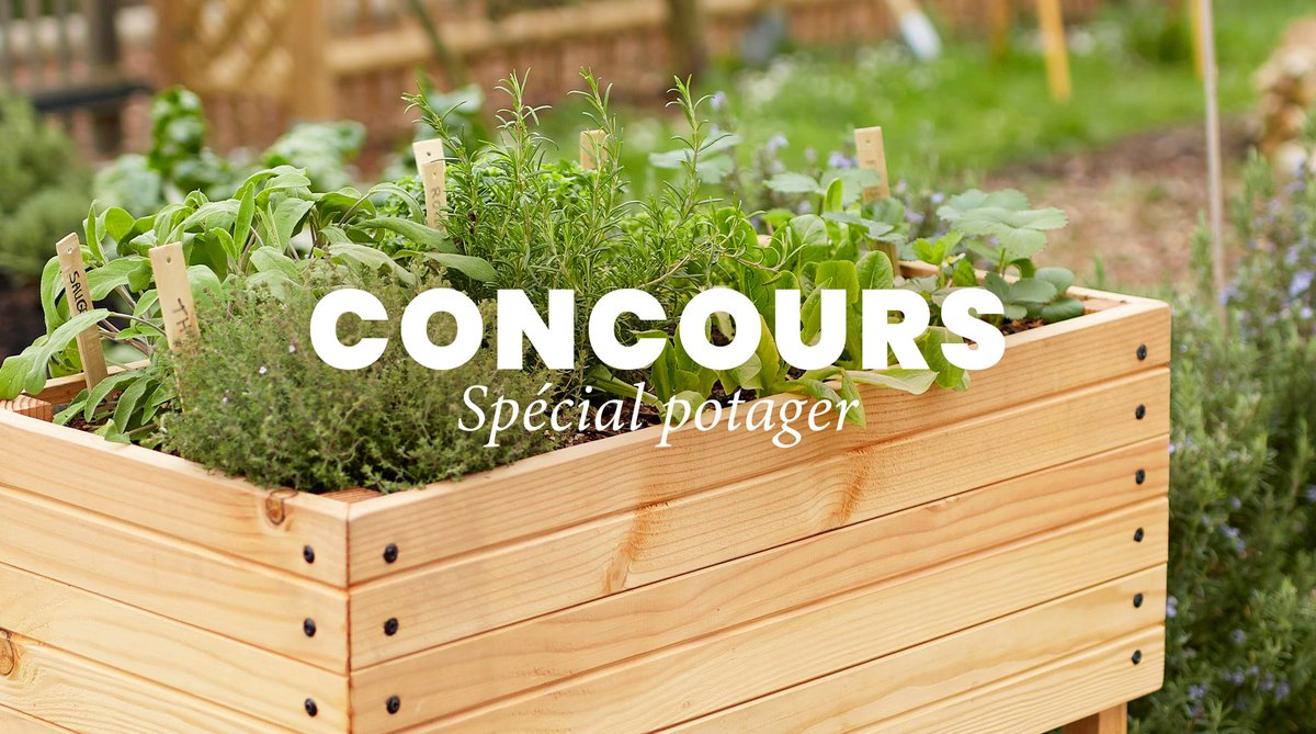 Truffaut's tweet photo. #CONCOURS 🥕
En février on peut commencer à réaliser ses semis et quoi de mieux qu'une carte cadeau de 70€ pour se procurer le nécessaire🎁

Pour tenter de la remporter :
🫛Suivre @Truffaut + inviter un(e) ami(e) à participer ci-dessous
TAS le 21/02 🎲

https://t.co/hLBfaQ5qeD https://t.co/Gmrj0BtPbV
