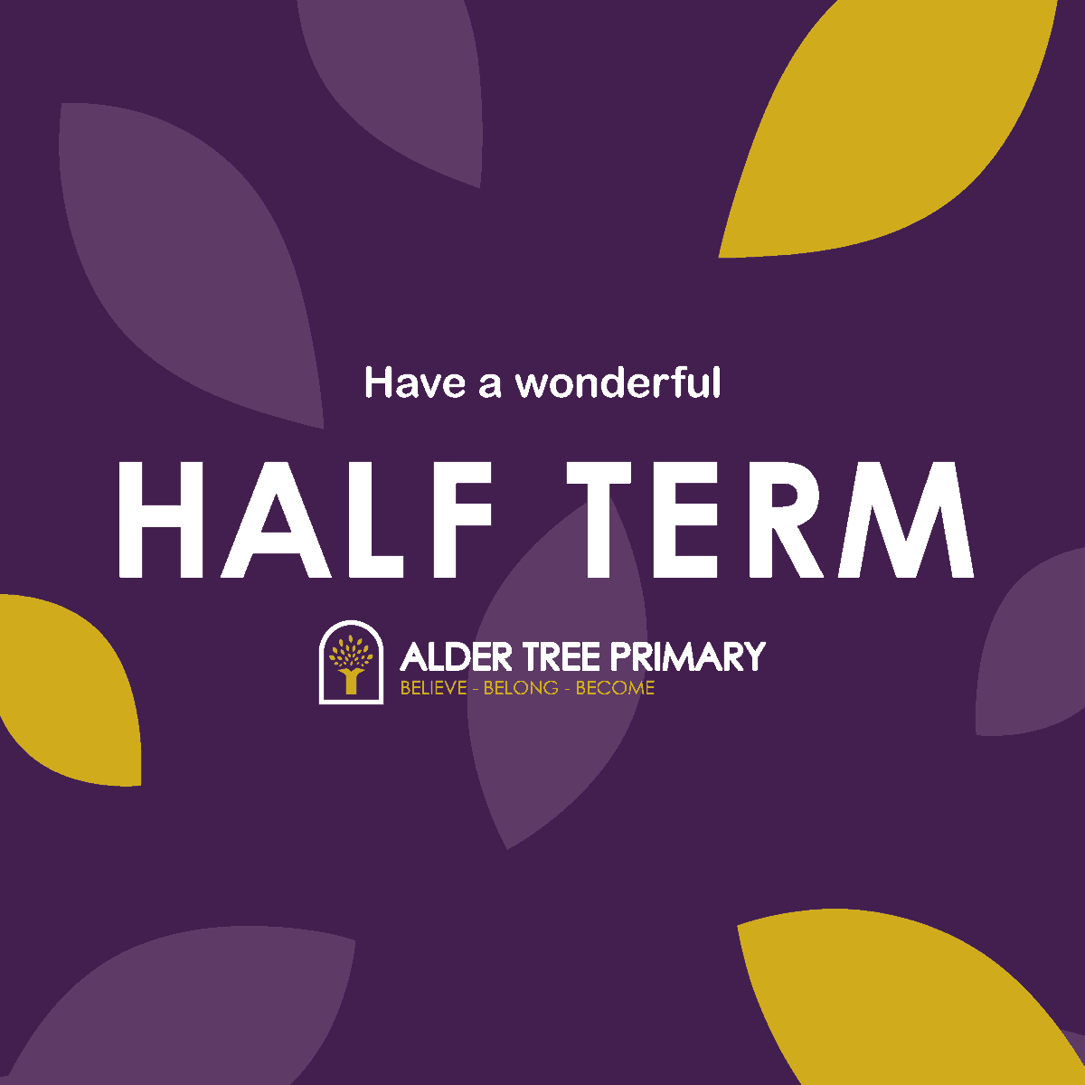 Alder Tree Primary tweet media