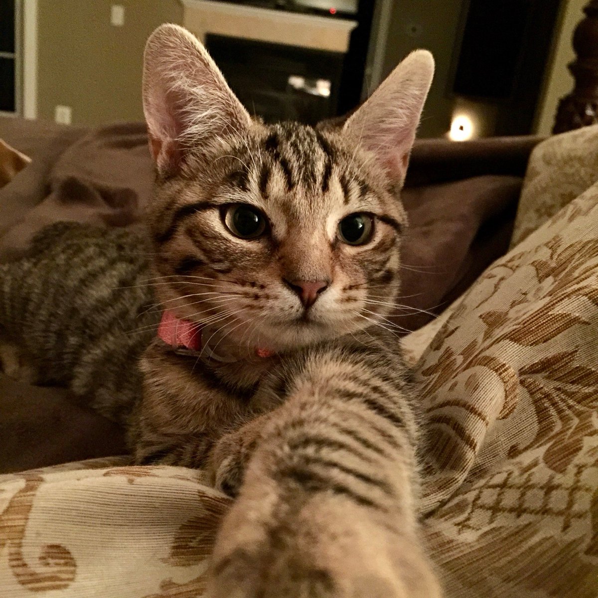 For the love of Missy. tweet media