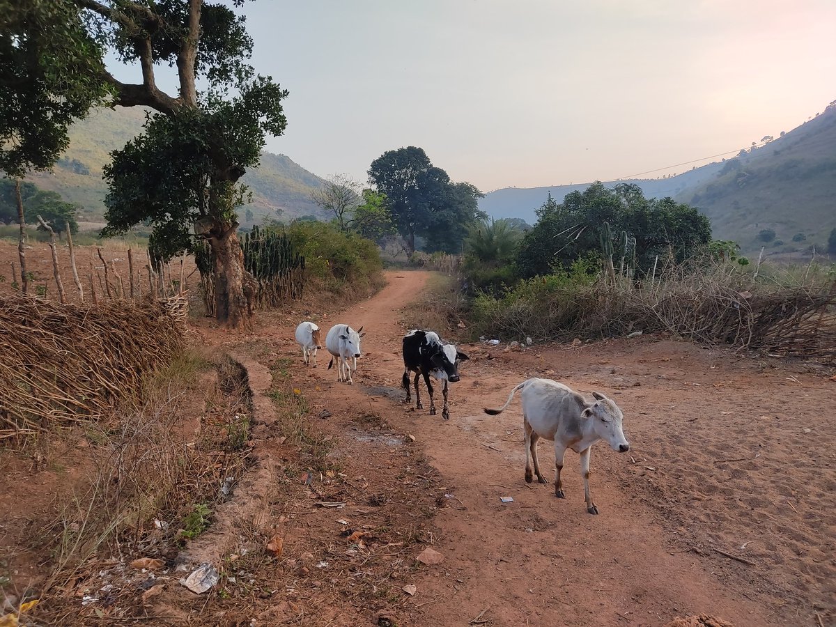 imiswarchandra's tweet photo. ମୁ ଶୁଣୁଛି କାହା ସ୍ୱର  ଠିଆ ହୋଇ ମୋ ବିଚିତ୍ର ସ୍ବପ୍ନ ଛାଇରେ ? https://t.co/TyKnkKbch9