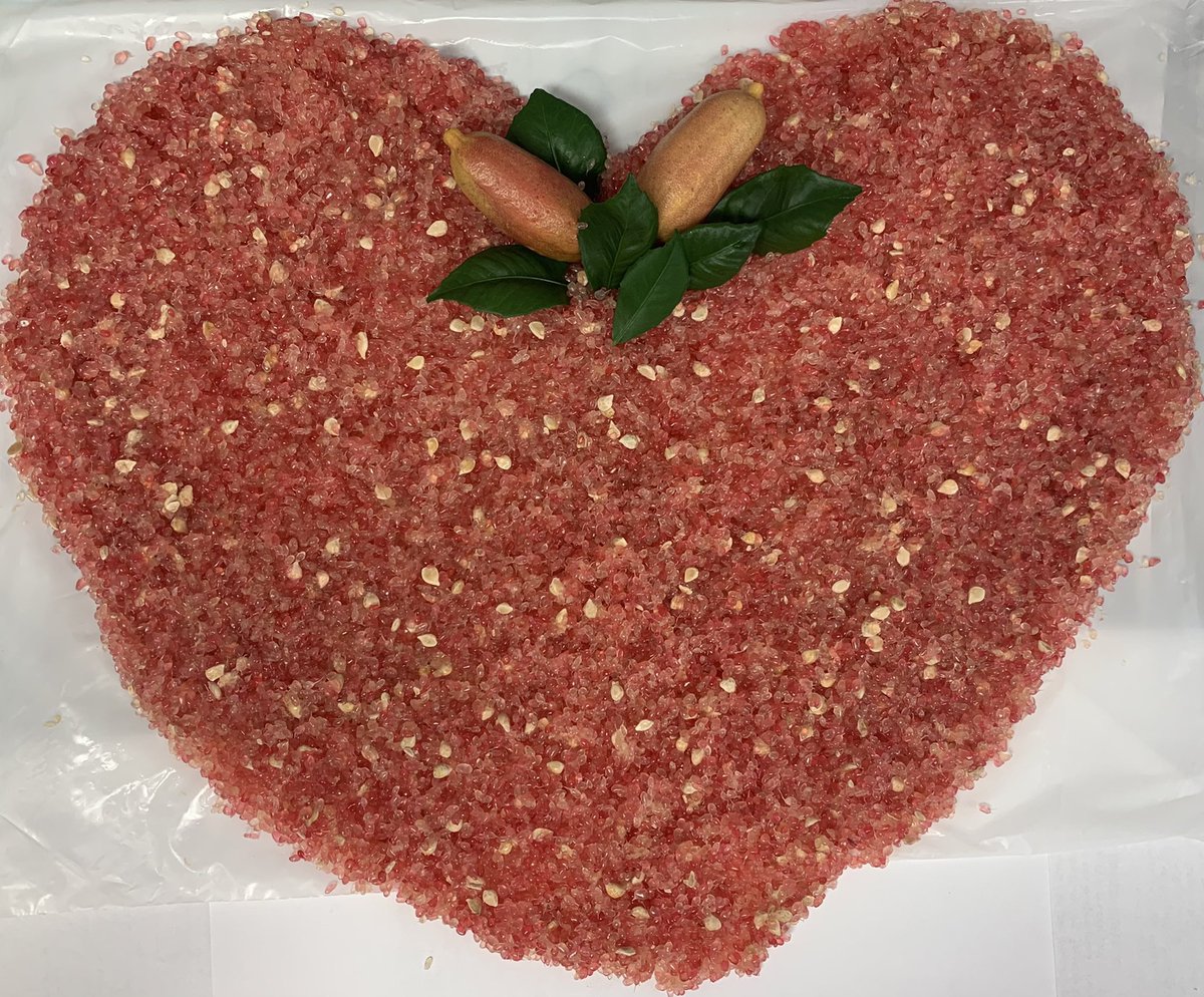 Happy Valentine’s Day