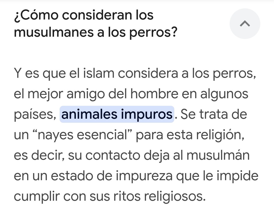 Cassandracass50's tweet photo. Tercera vez que mis vecinas con su velo negro y su vestido negro hasta los pies no suben en el ascensor porque voy con López.
A todos los animalistas que apoyáis de forma desaforada a los islamistas os pongo en contexto https://t.co/gtNc0NT3cJ