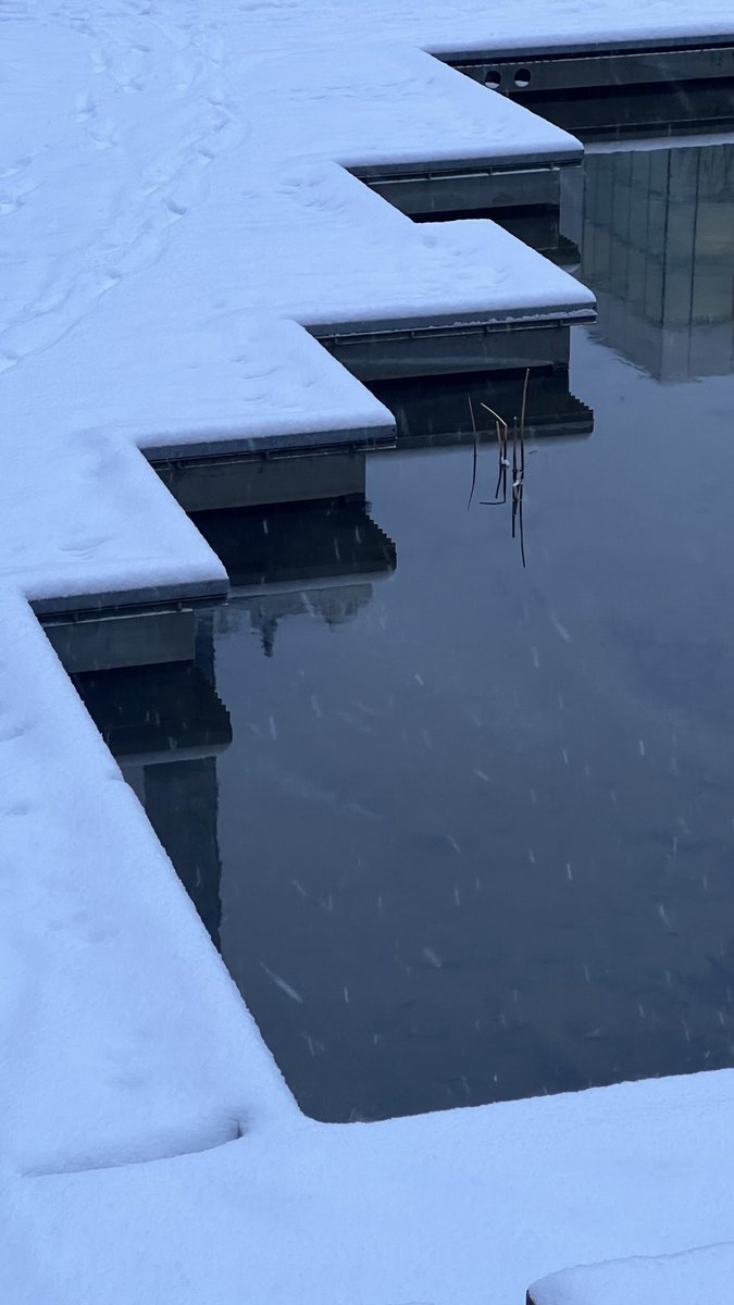 marilyndeutsch2's tweet photo. Tanner Springs snow geometry. https://t.co/UjnwHTUjRr