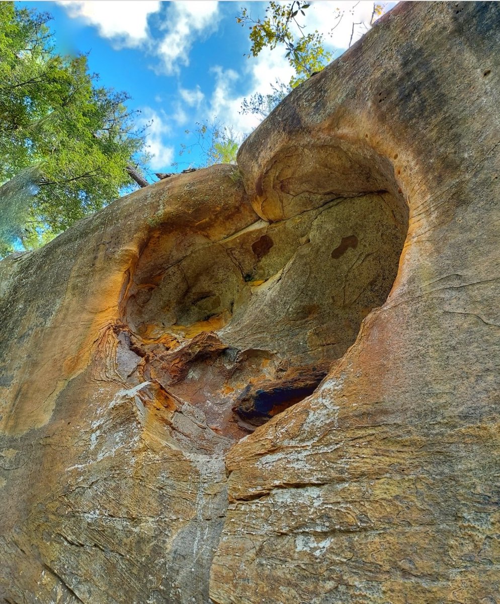 Whatevermind2's tweet image. The author of love gave us reminders. ❤️