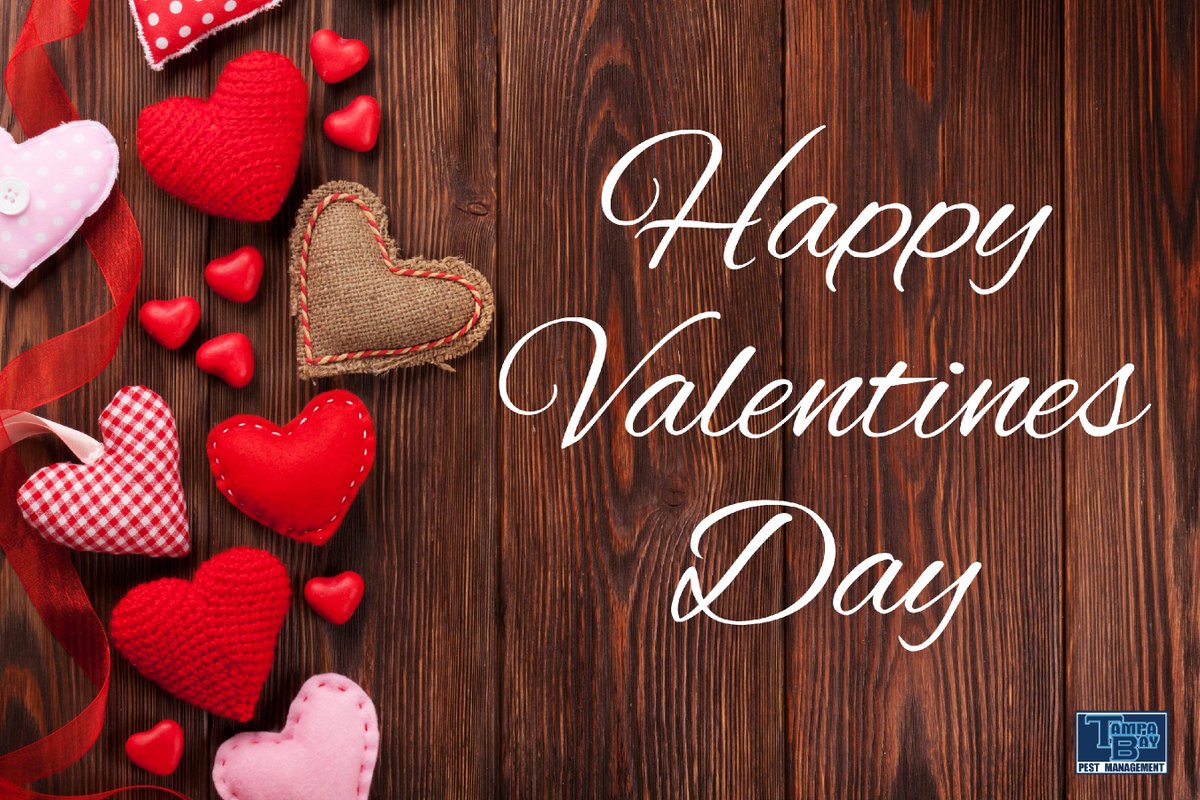 Happy Valentine’s Day! 🥰💖 Celebrate with hugs, kisses, and a sprinkle of kindness. Spread the love today! 💌✨ #LoveIsInTheAir #ValentinesDay #SpreadTheLove