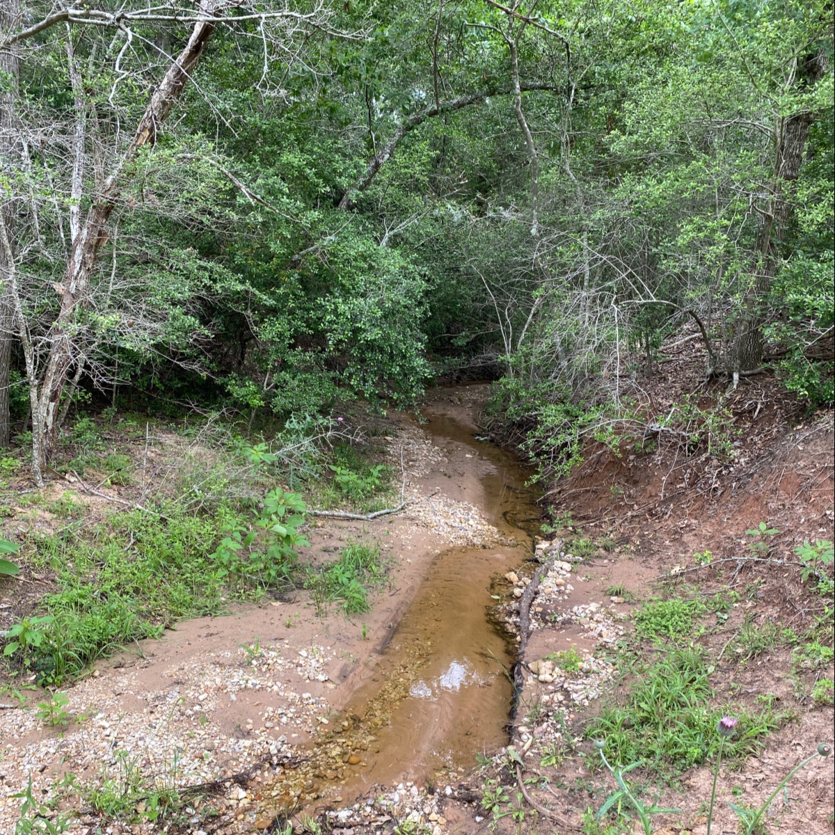 EnthusiasticYou's tweet image. Foster a culture of empathy and collaboration to nurture holistic development in the workplace. 🤝 #purposeorperish #humancapacity