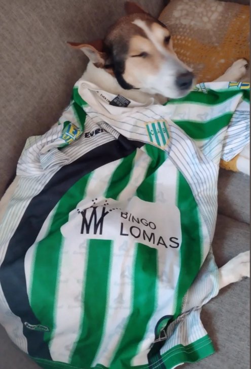 Feliz día de los enamorados más mi dos amores uno Banfield y a mi hija #unchurrito  Camí sabe quién manda en el sur Banfield siempre Banfield