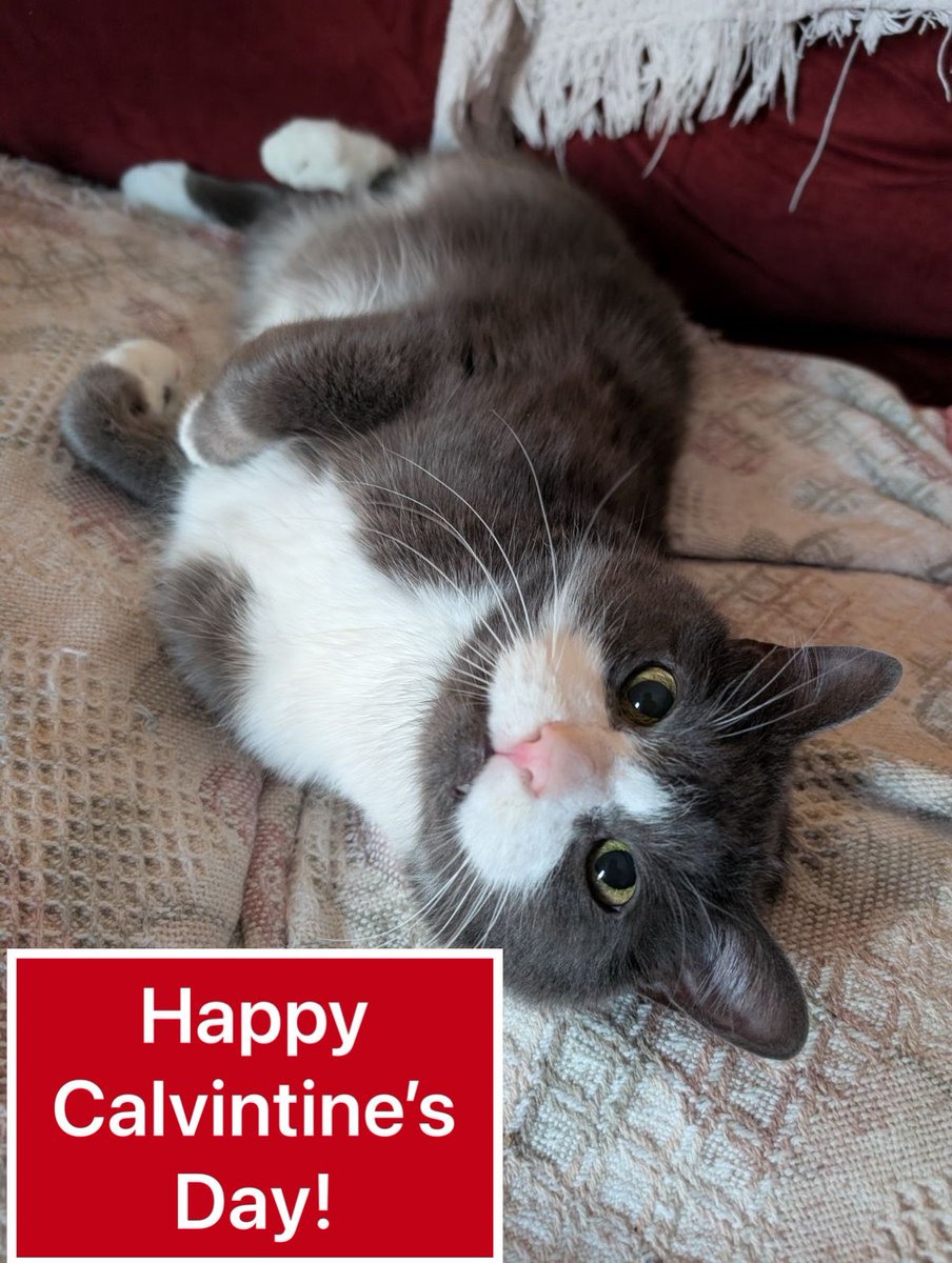 Happy Calvintine’s Day!