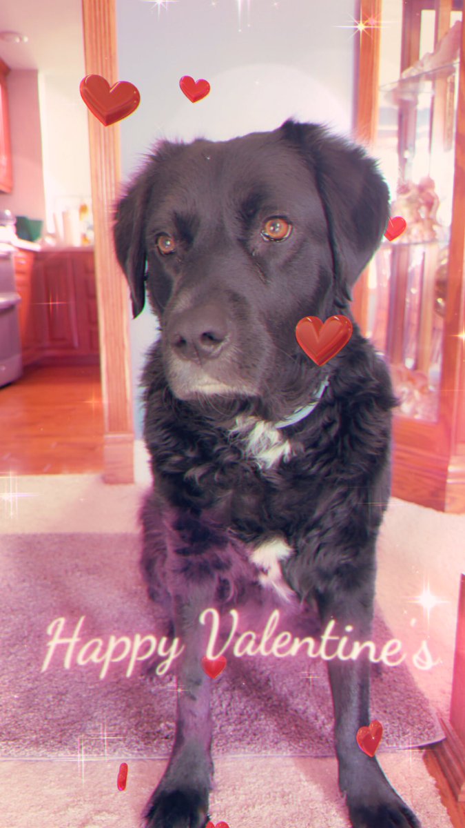 Just Georgee 2020 tweet media