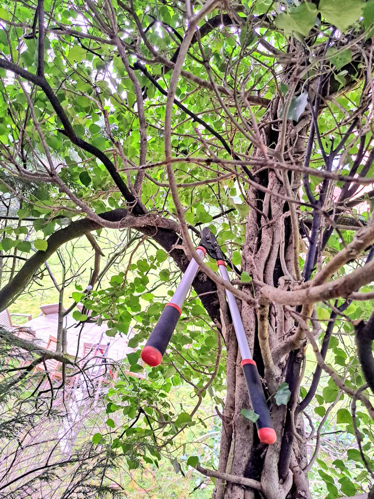 Jake Belder tweet media