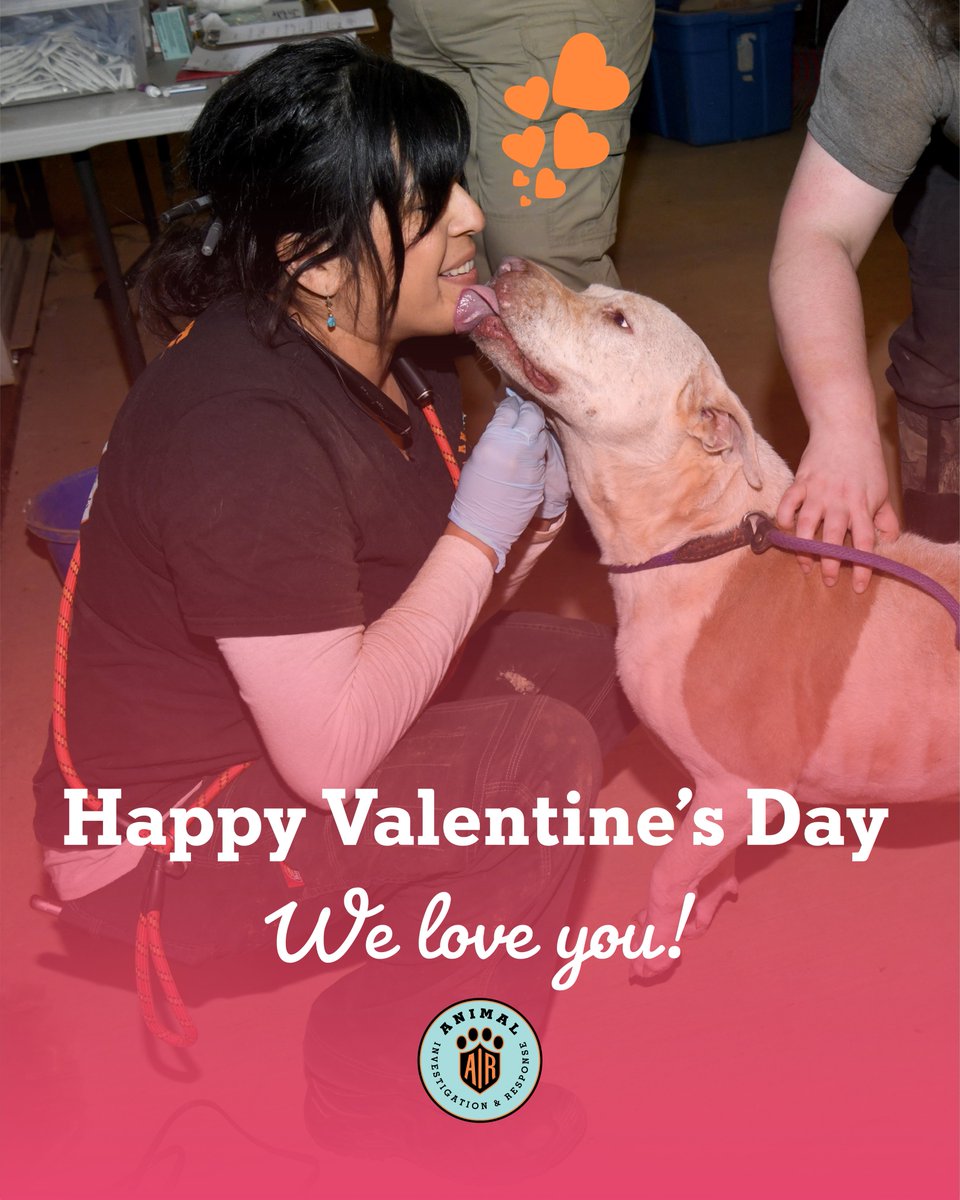 Hey, Valentine! ♥️

We can not let the holiday go by without AIRing our LOVE for YOU!

Thank you for being part of our journey and walking into 2025 right by our side. We can’t #DefendAnimalDignity without your love and generosity.

We LOVE you, AIR family.