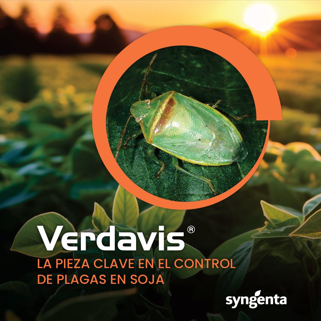 Syngenta Uruguay tweet media