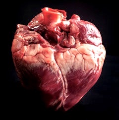 RetroGroove Podcast tweet media