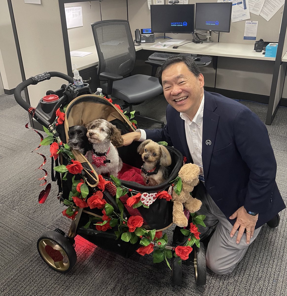 PatrickHwuMD's tweet image. Moffitt’s #PetTherapy dogs, Kayba, CJ and Kayse are ready for a pawesome #Valentinesday2025! ❤️ 🐾 

Thanks to @MoffittNews volunteer Ken Price for bringing them to spread cheer among our patients and teams at Moffitt McKinley Outpatient Center!